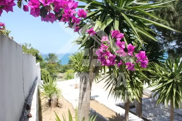 Villa à louer