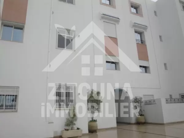 Appartement neuf à louer