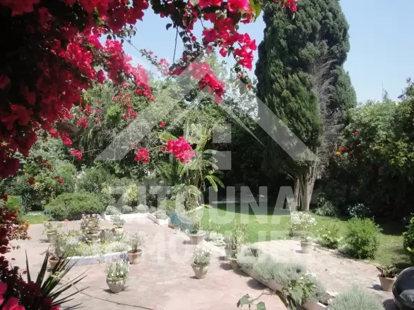 Une villa de charme à louer à la Marsa