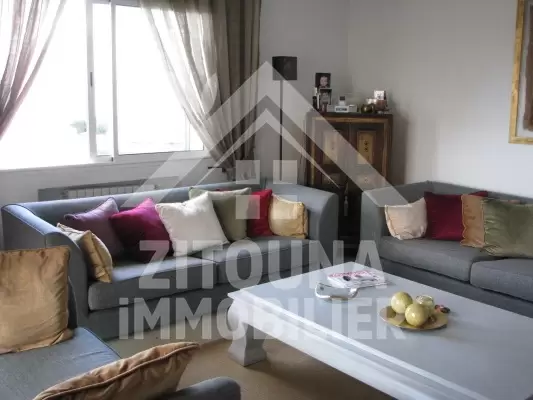 Magnifique appartement a louer