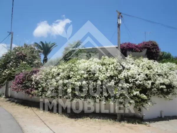 Maison de charme à Sidi Bou Said, Amilcar