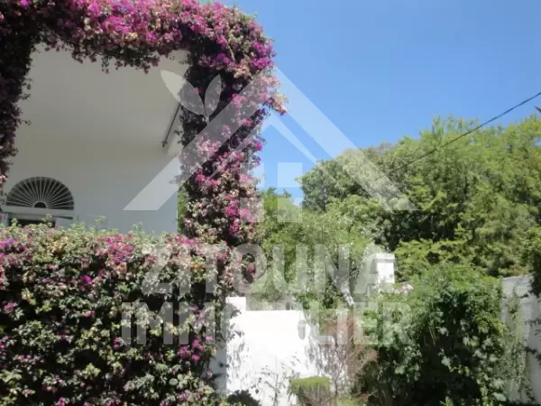 Maison de charme à Sidi Bou Said, Amilcar