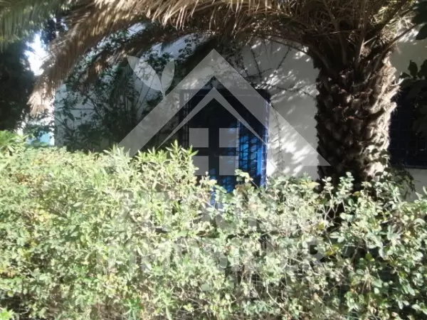 Appartement à louer à La Marsa