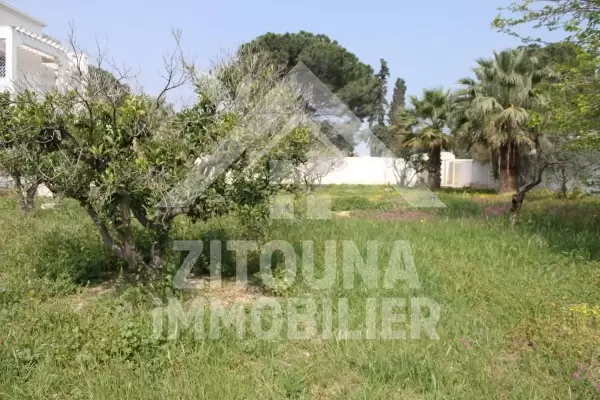 Grande villa à louer