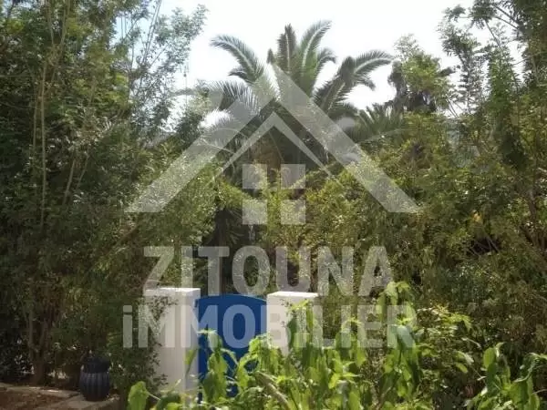 Un magnifique rez de chaussée