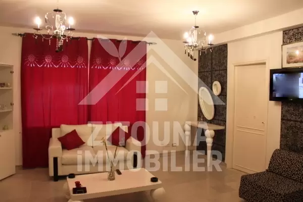 Appartement richement meublé