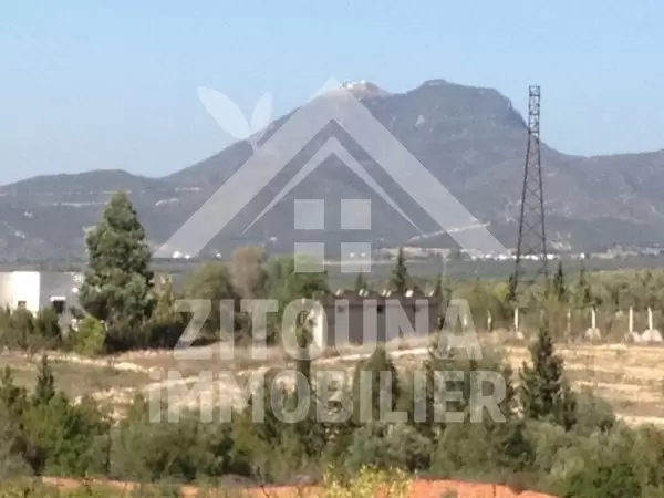 Opportunté pour investir...