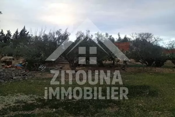 A vendre un terrain à Hammamet