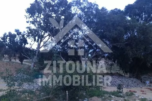 A vendre un beau terrain à Hammamet
