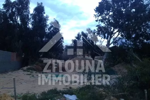 A vendre un beau terrain à Hammamet