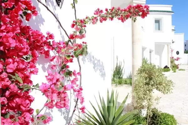 A louer belle villa à Gammarth