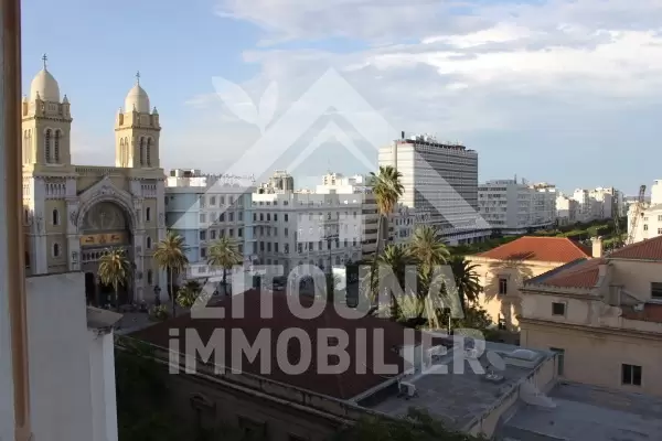 Magnifique Appartement