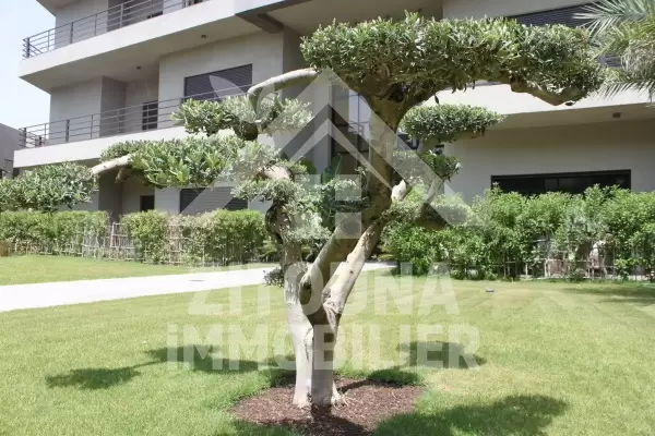 Appartement à louer avec une vue imprenable