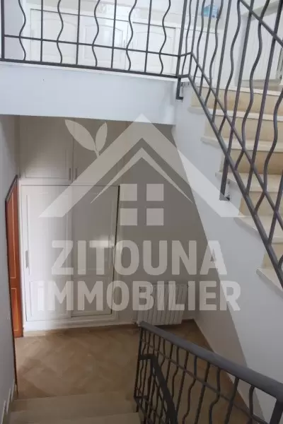 Villa neuve à louer