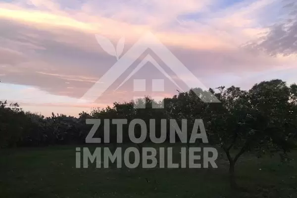 A vendre un terrain à Nabeul