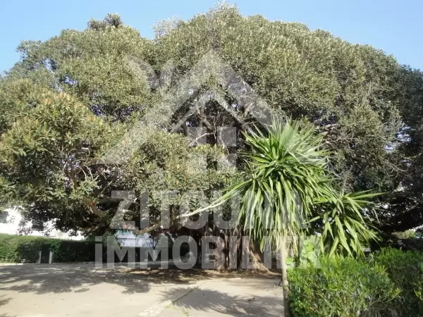 Appartement à louer vide