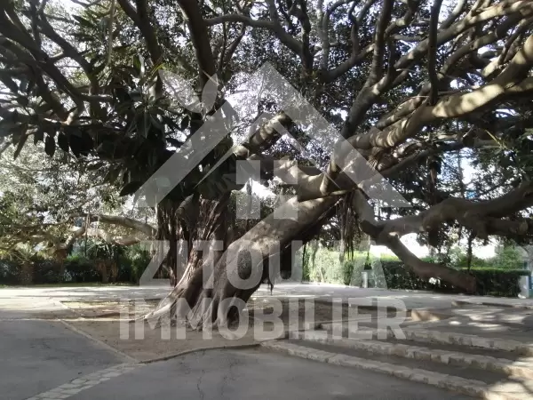 Appartement à louer vide