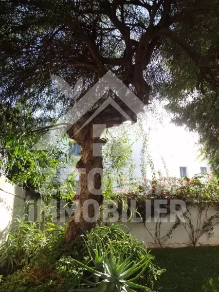 Appartement meublé au golden tulipe