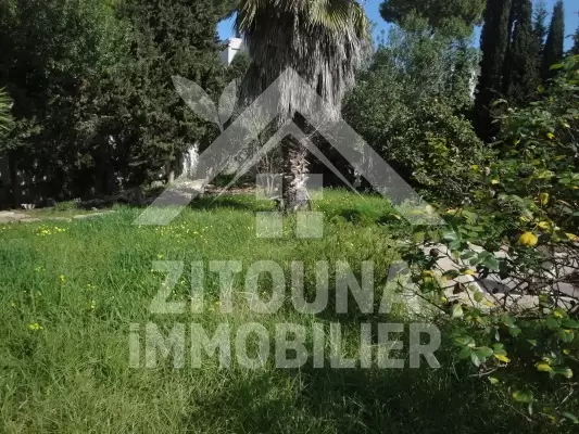 a louer un rez de chaussée de villa a louer avec un jardin à gammarth superieur