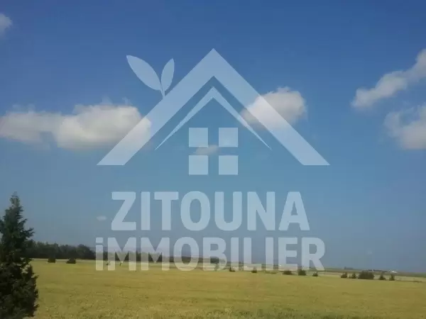 Terrain agricole