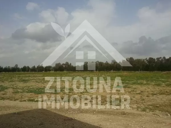 Terrain agricole