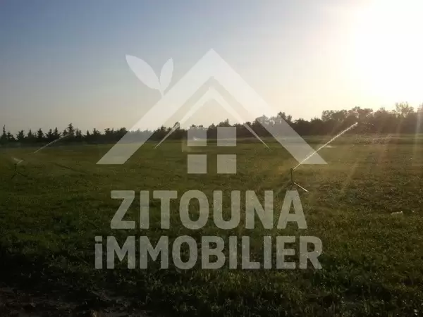 Terrain agricole