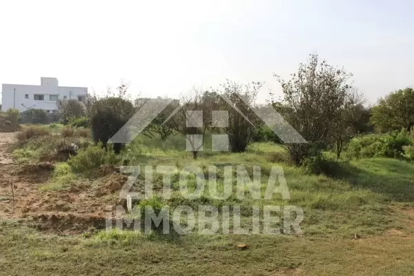 A vendre terrain à La soukra
