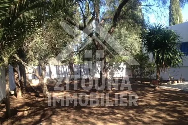 A louer une belle villa à Sidi Bou Said