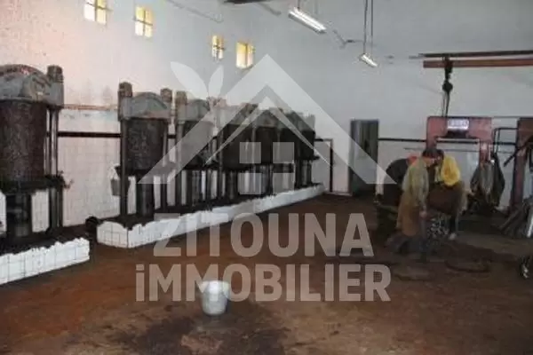 A VENDRE HUILERIE TRADITIONNELLE AU CENTRE VILLE DE TEBOURSOUK