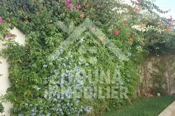 Un duplex à louer aux jardins de Carthage