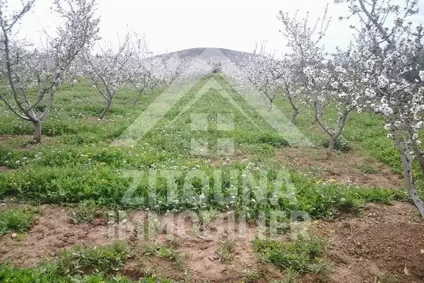 Ferme à vendre à Mornaguia