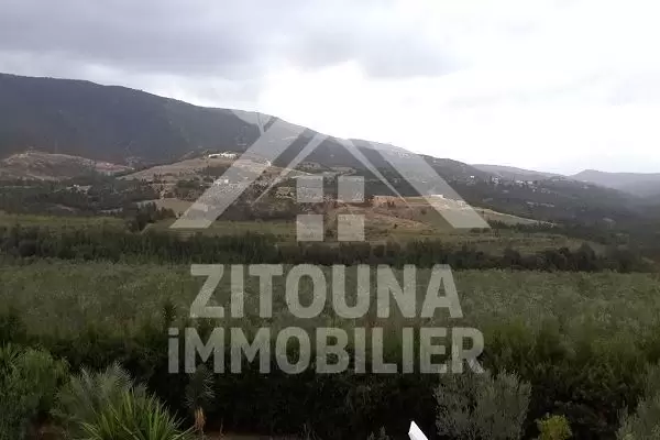 A vendre une ferme à Morneg