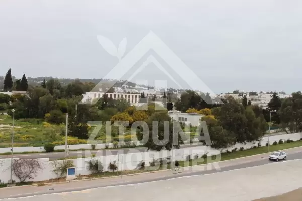 Appartement neuf à louer