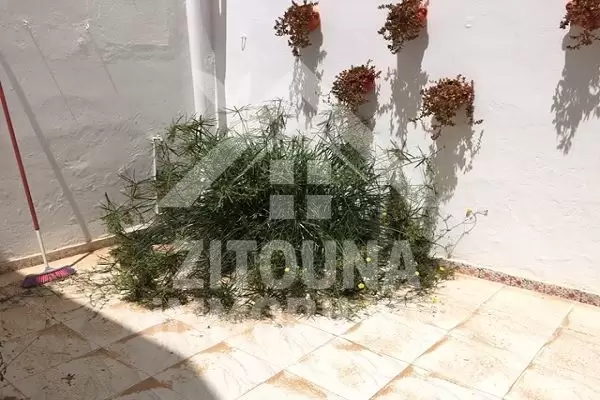 Rez de chaussée de villa à louer à Sidi Bou Said