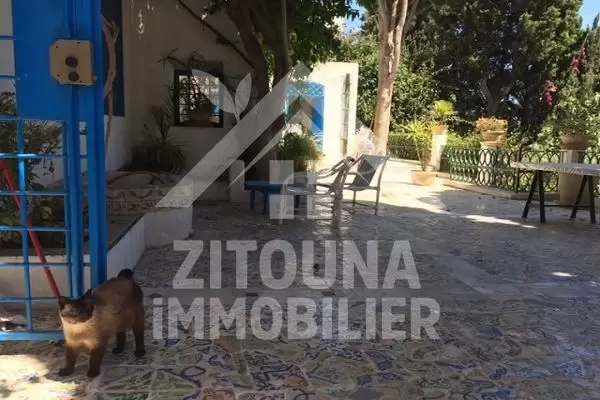 Rez de Chaussée de Villa Arabesque à louer à Sidi Bou Said