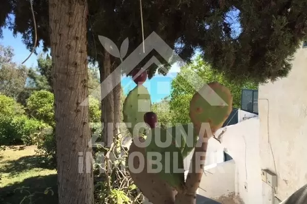 Rez de Chaussée de Villa Arabesque à louer à Sidi Bou Said