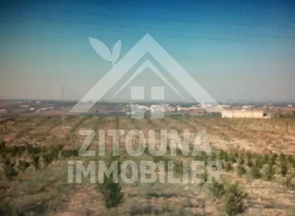 Terrain agricole