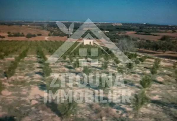 Terrain agricole