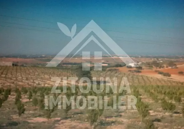 Terrain agricole