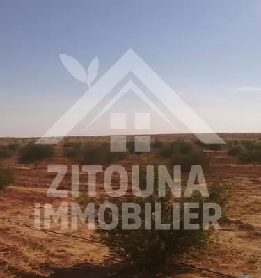 A vendre une ferme à Mezzouna