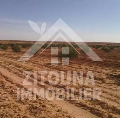 A vendre une ferme à Mezzouna