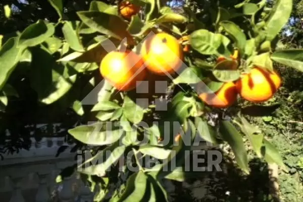 A louer une belle villa