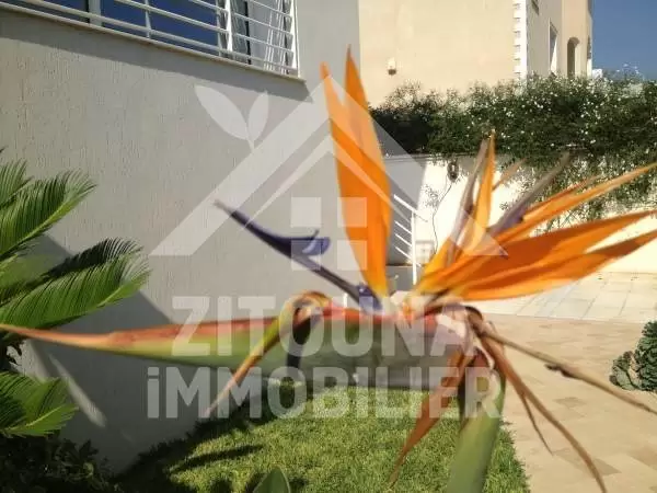 A louer un beau duplex meublé