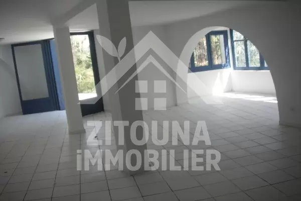 Villa a vendre