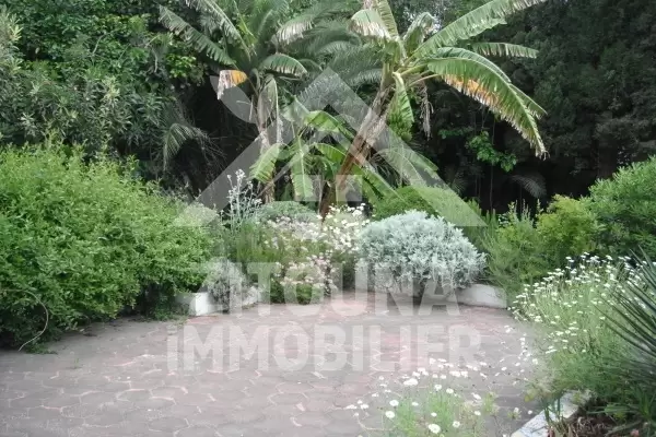 Belle villa à louer