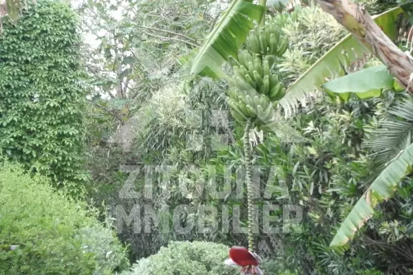 Belle villa à louer