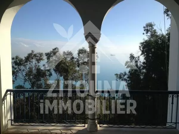 A louer extraordinaire villa à Sidi Bou Said