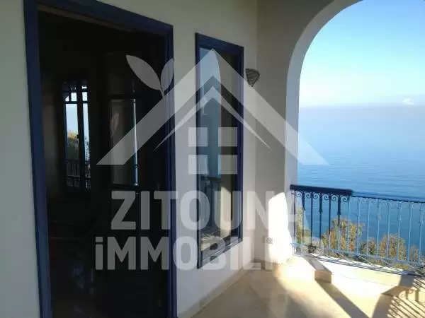 A louer extraordinaire villa à Sidi Bou Said