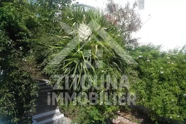 A louer une belle villa à Gammarth Sup