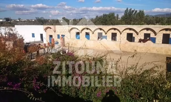 A vendre un terrain à Hammamet